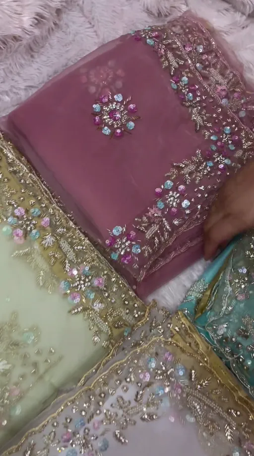 Designer Party Wear Organza saree with shiny handwork