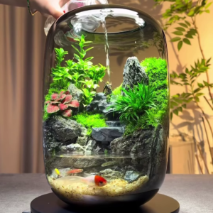 A Miniature World in a Jar: Nature’s Art at Your Fingertips