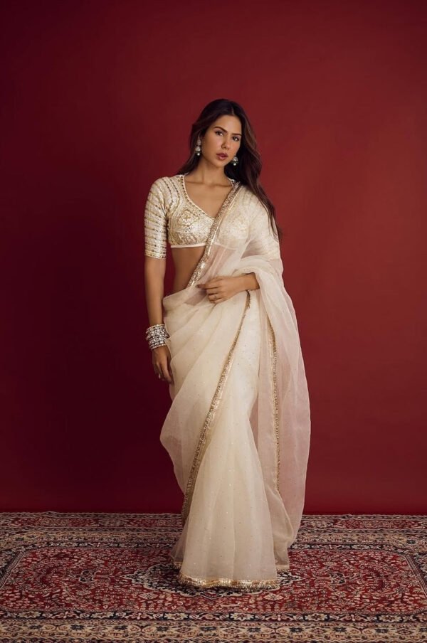 Sonam Bajwa Bollywood-Inspired Georgette Saree