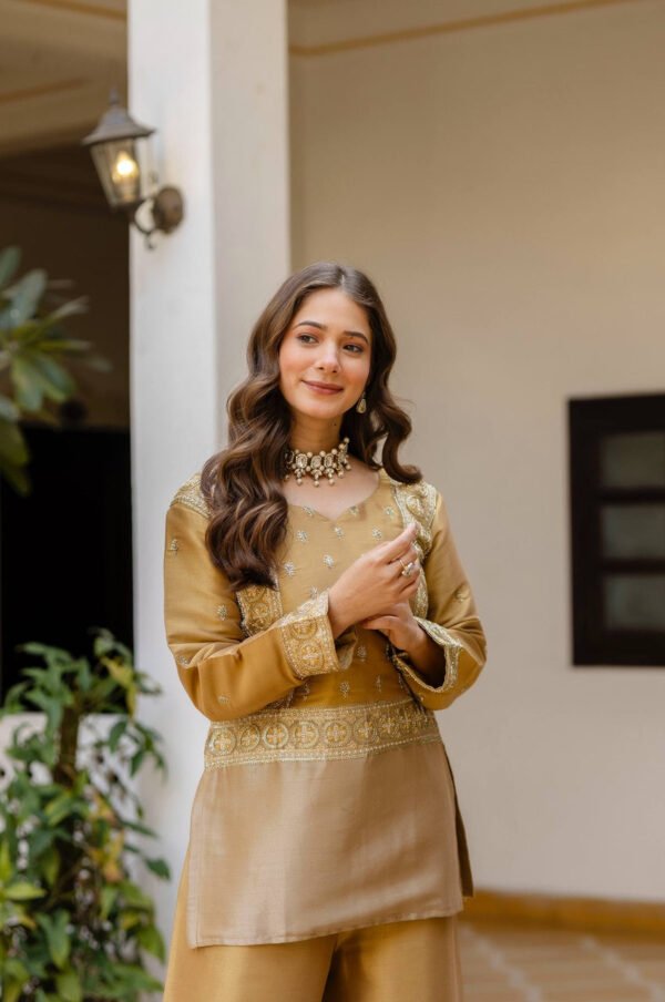 Banarasi Viscose Co-Ord Set – Elegant Ethnic Fusion